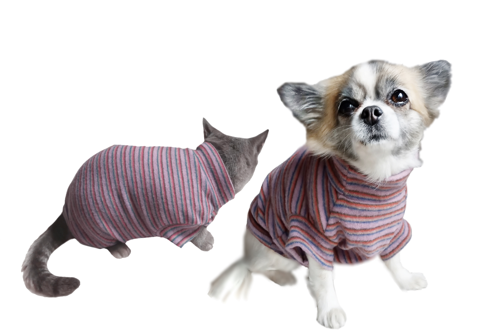 Pulover lila stripe pentru caini si pisici