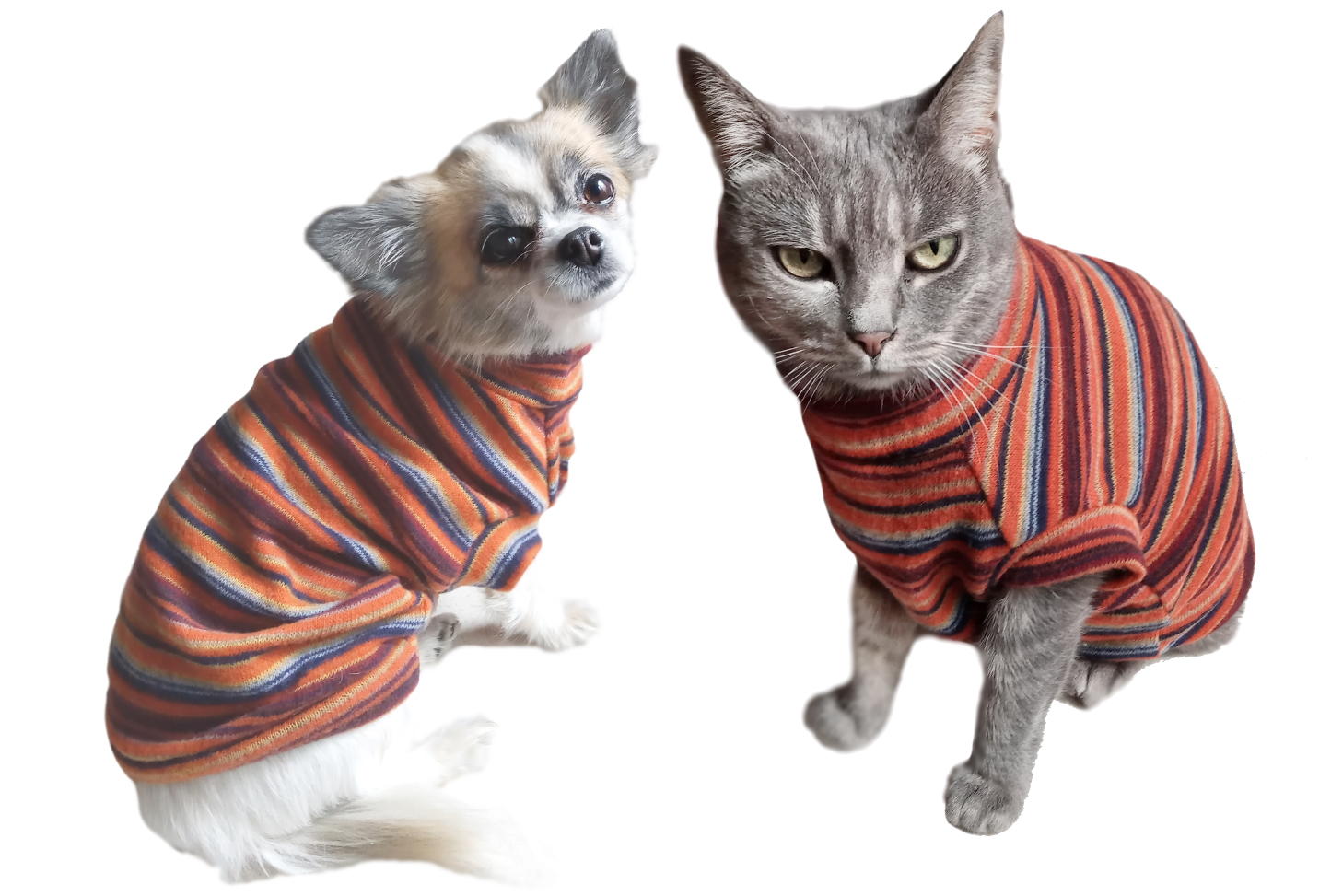 Pulover orange stripe pentru caini si pisici